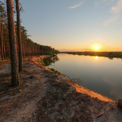 Skarpa w Szuminie (Wysoki Brzeg)